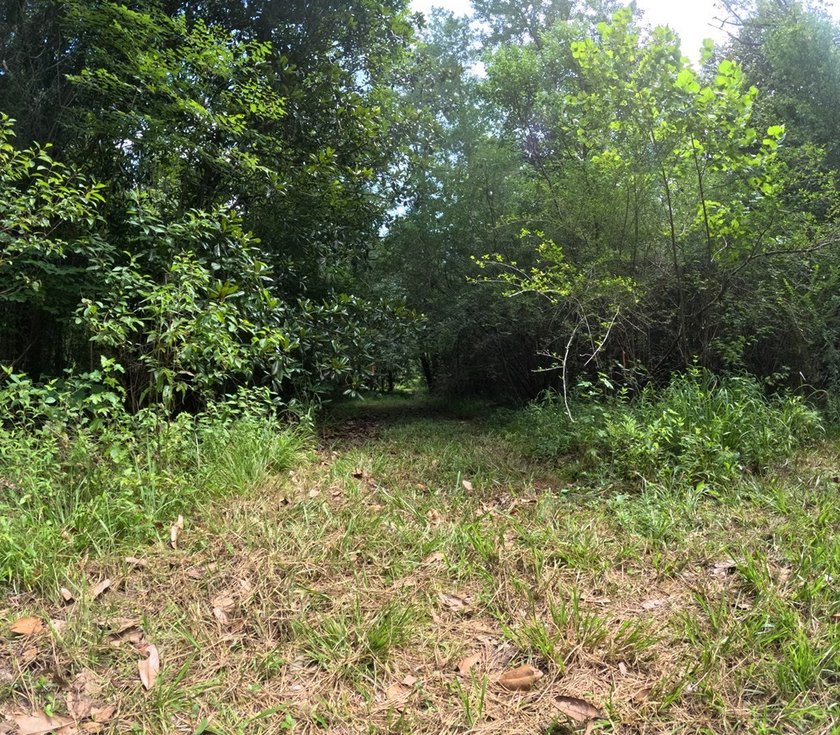 Camp Silver Creek-Welcome to a rare opportunity to own an 82 - photo 35