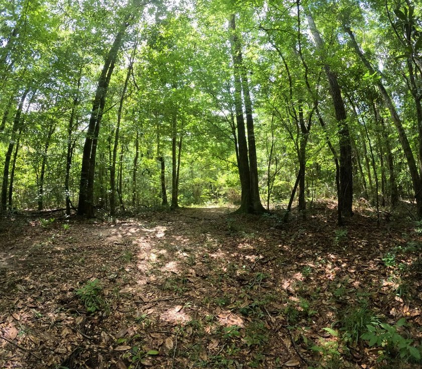 Camp Silver Creek-Welcome to a rare opportunity to own an 82 - photo 37