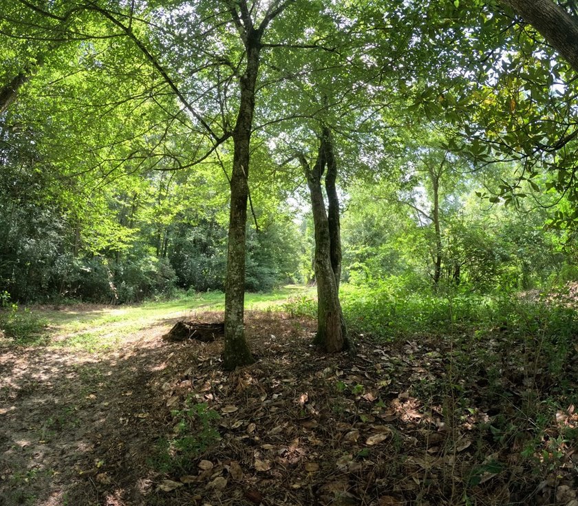 Camp Silver Creek-Welcome to a rare opportunity to own an 82 - photo 38