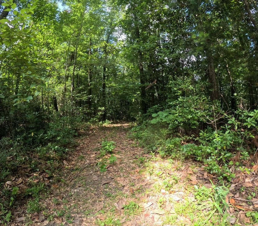 Camp Silver Creek-Welcome to a rare opportunity to own an 82 - photo 39