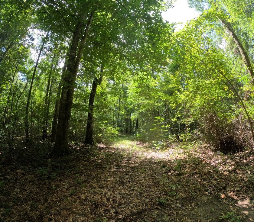 Camp Silver Creek-Welcome to a rare opportunity to own an 82 - photo 41