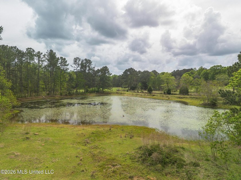 BACK ON THE MARKET! Here is your chance to capture this charming - photo 11