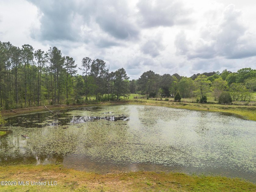 BACK ON THE MARKET! Here is your chance to capture this charming - photo 12