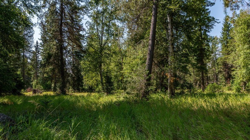 Create your dream home on this enchanted woodland 5.03 acre - photo 23