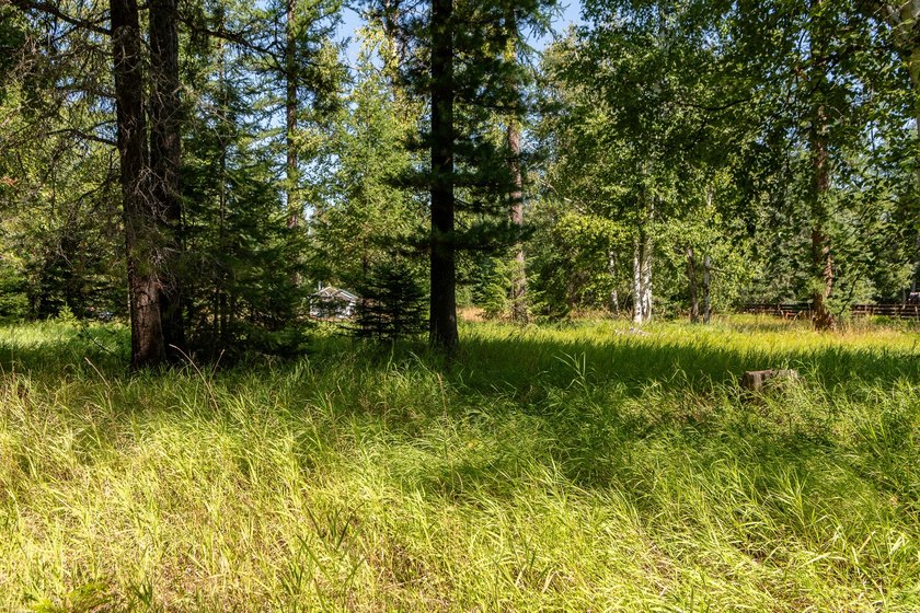 Create your dream home on this enchanted woodland 5.03 acre - photo 29