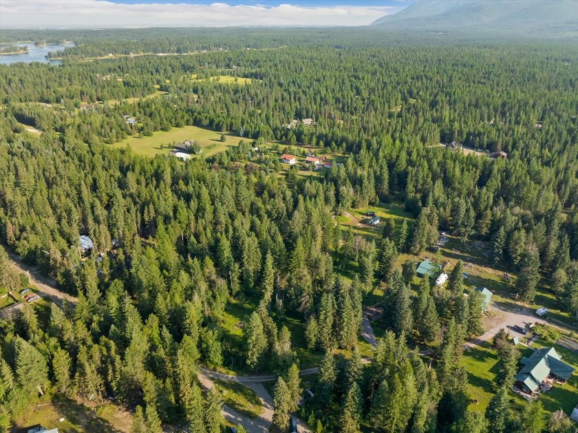 Create your dream home on this enchanted woodland 5.03 acre - photo 48