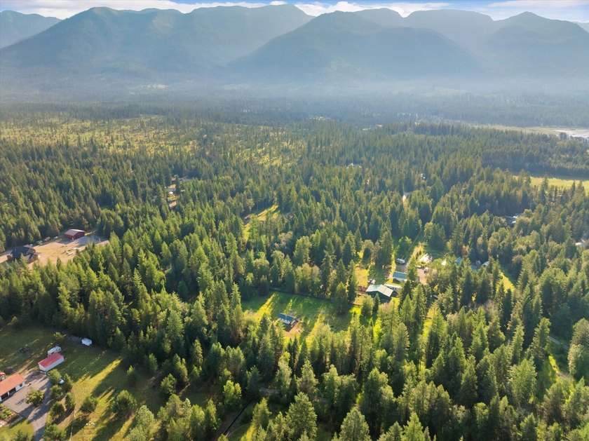 Create your dream home on this enchanted woodland 5.03 acre - photo 50