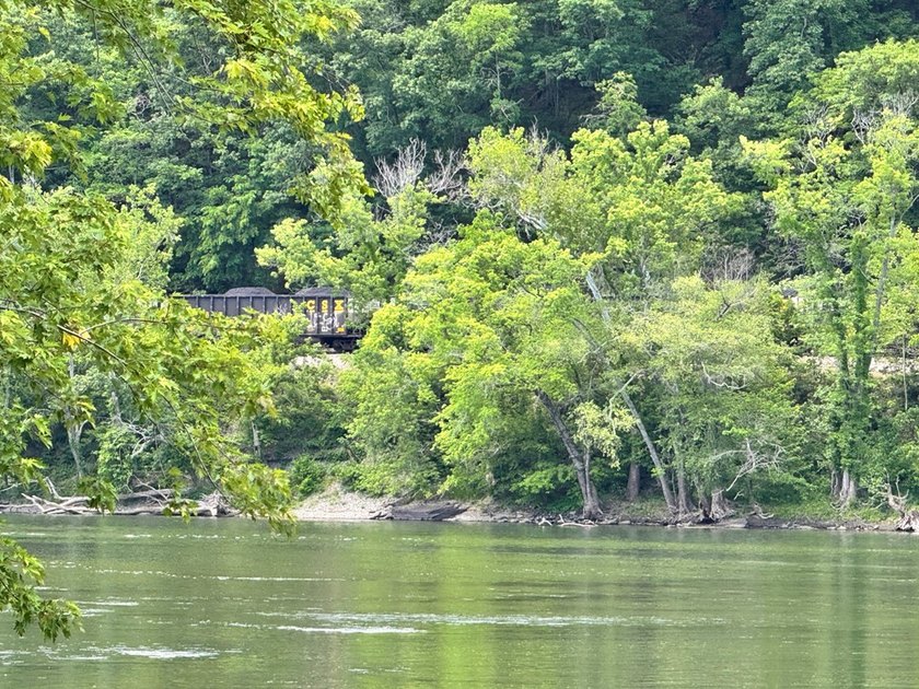 RARE NEW RIVER WATERFRONT OPPORTUNITY - 2.85 ACRES IN NEW RIVER - photo 11