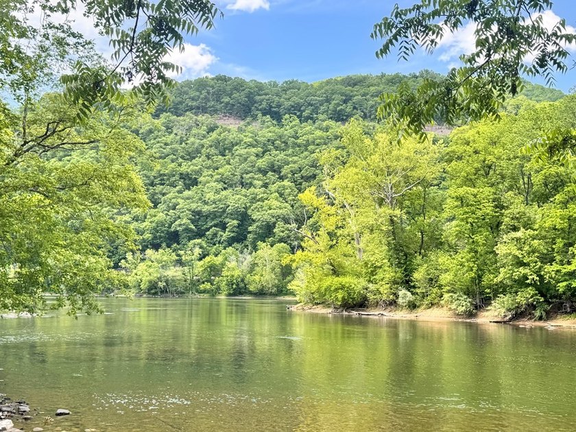 RARE NEW RIVER WATERFRONT OPPORTUNITY - 2.85 ACRES IN NEW RIVER - photo 12