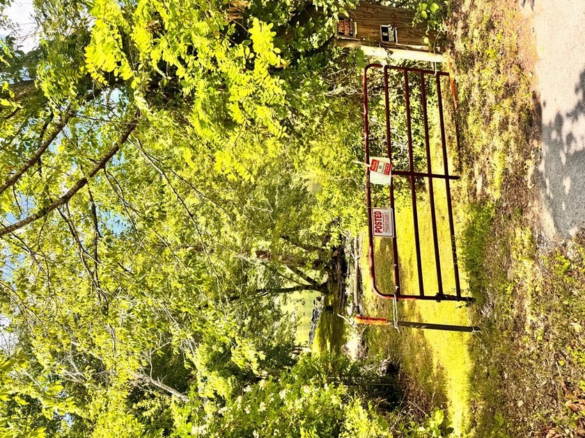 RARE NEW RIVER WATERFRONT OPPORTUNITY - 2.85 ACRES IN NEW RIVER - photo 23