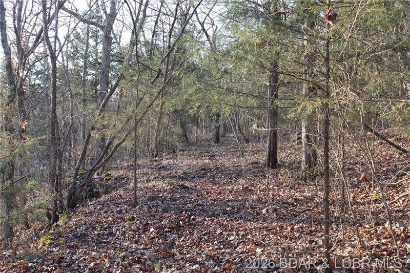 RARE DOUBLE LAKEFRONT OPPORTUNITY ON POCAHONTAS LAKE! Own - photo 13
