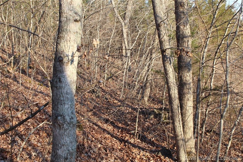 RARE DOUBLE LAKEFRONT OPPORTUNITY ON POCAHONTAS LAKE! Own - photo 14