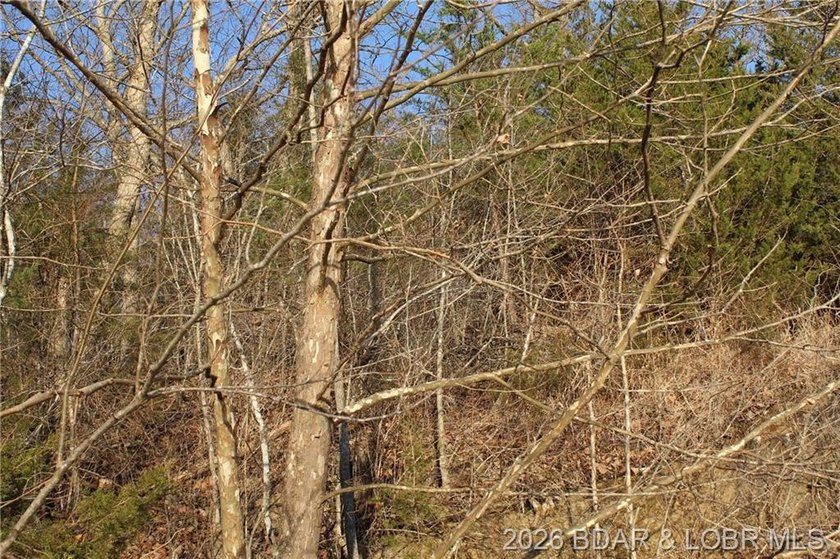 RARE DOUBLE LAKEFRONT OPPORTUNITY ON POCAHONTAS LAKE! Own - photo 17
