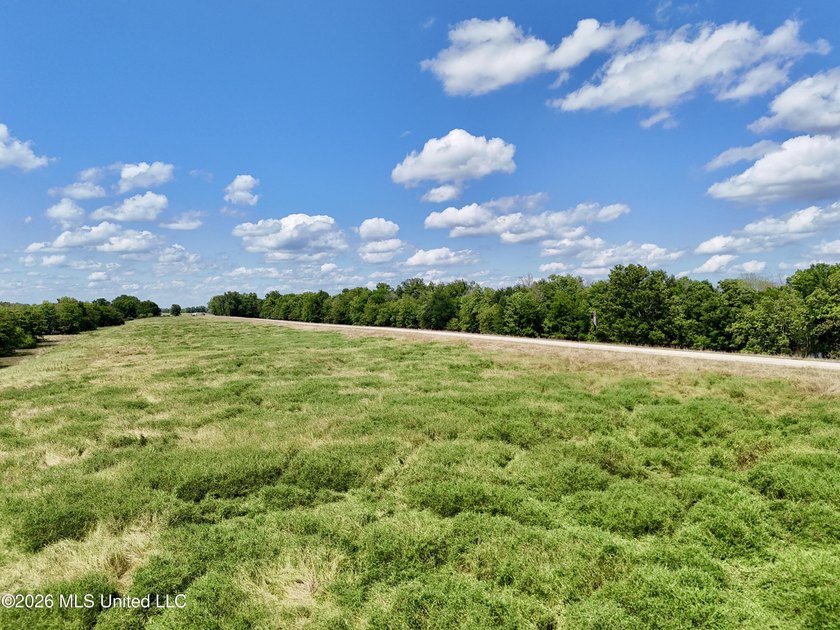 168+/- acres of pastureland just outside Vicksburg offering a - photo 2