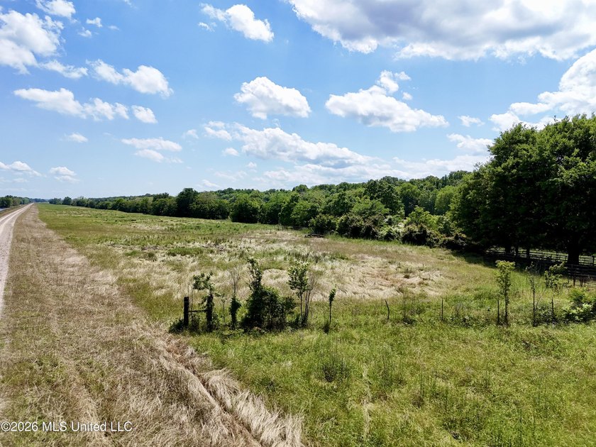 168+/- acres of pastureland just outside Vicksburg offering a - photo 4