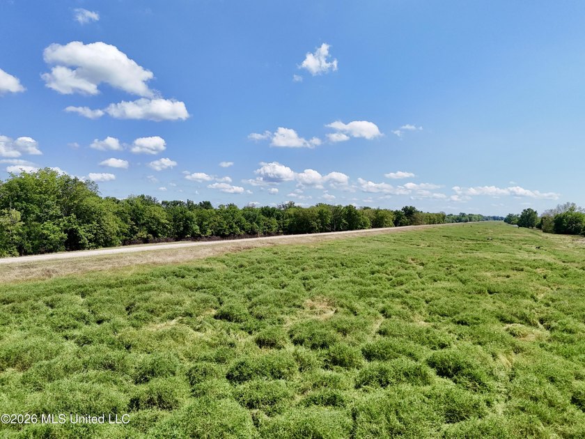 168+/- acres of pastureland just outside Vicksburg offering a - photo 6