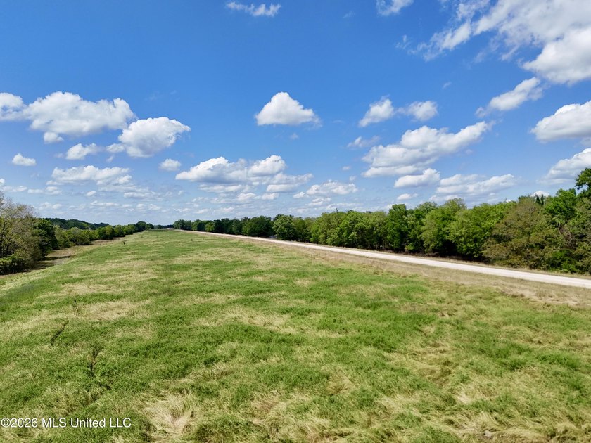 168+/- acres of pastureland just outside Vicksburg offering a - photo 8