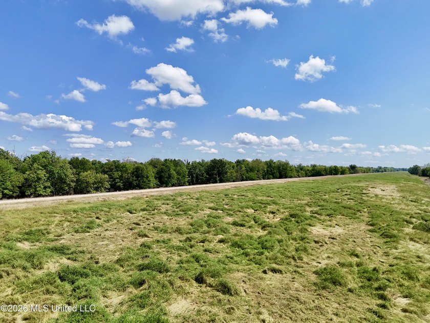 168+/- acres of pastureland just outside Vicksburg offering a - photo 10