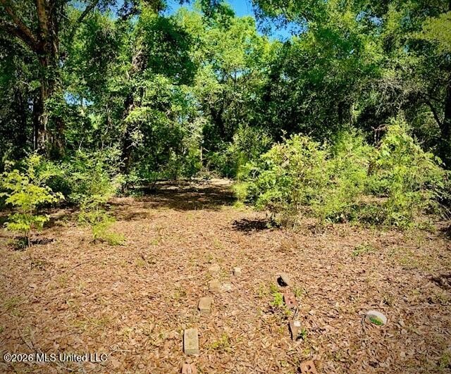 Looking for land in all the wrong places? Here's a piece of - photo 2