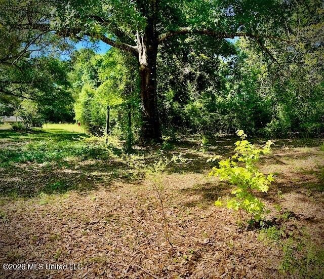 Looking for land in all the wrong places? Here's a piece of - photo 3