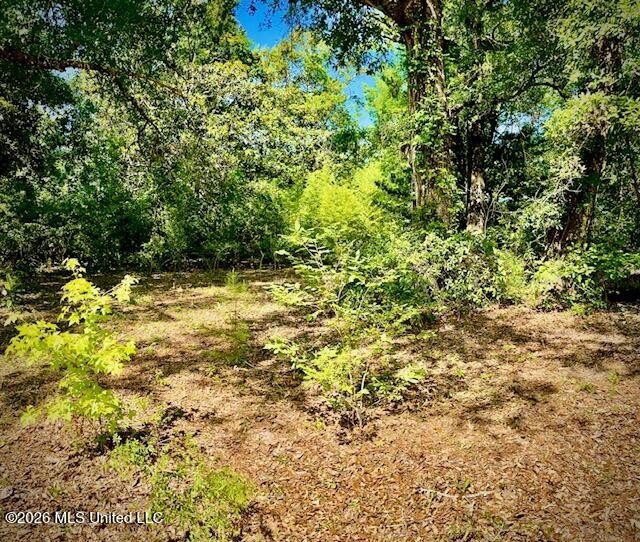 Looking for land in all the wrong places? Here's a piece of - photo 4