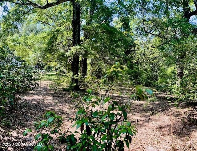 Looking for land in all the wrong places? Here's a piece of - photo 8