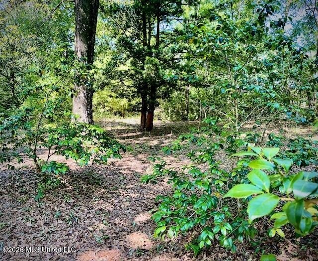 Looking for land in all the wrong places? Here's a piece of - photo 9