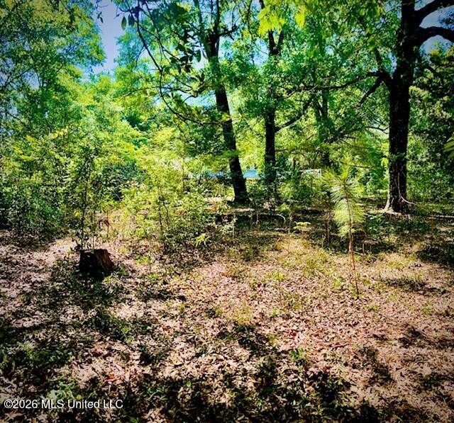 Looking for land in all the wrong places? Here's a piece of - photo 10