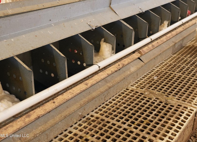 This turnkey modern Poultry Breeder Egg built in 2017 has - photo 27