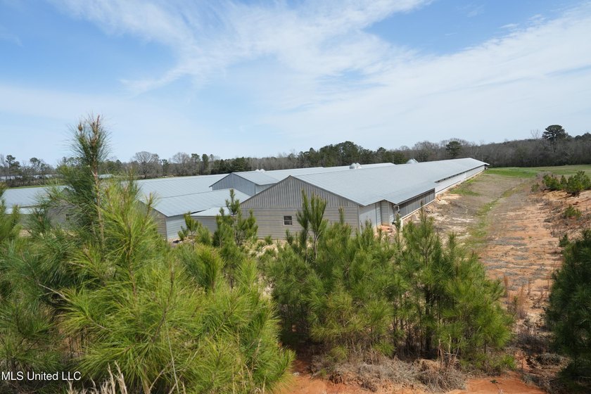 This turnkey modern Poultry Breeder Egg built in 2017 has - photo 32