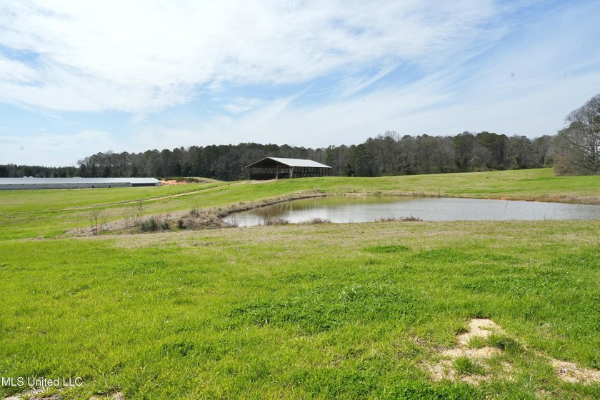 This turnkey modern Poultry Breeder Egg built in 2017 has - photo 33