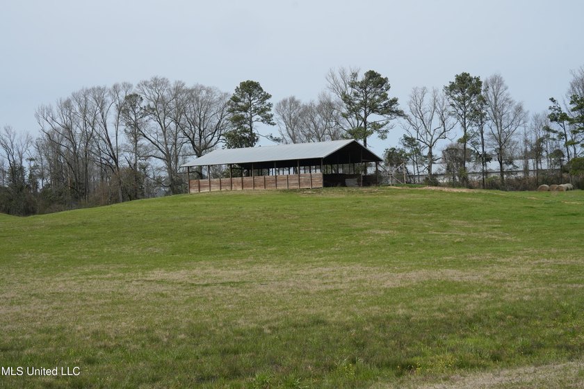 This turnkey modern Poultry Breeder Egg built in 2017 has - photo 38