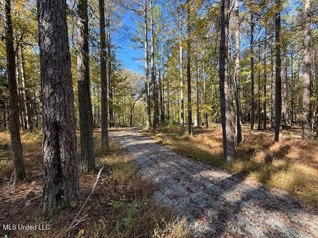 100 Acres of Hardwood &amp; Pine Timber - Recreational Tract Near - photo 6