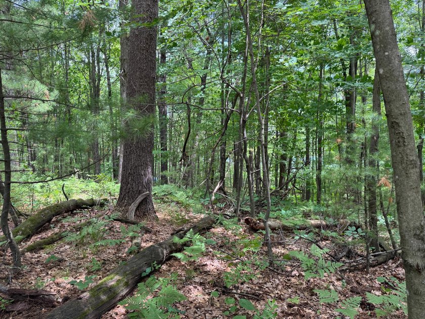 Build your dream lake home or Northwoods retreat on beautiful - photo 17