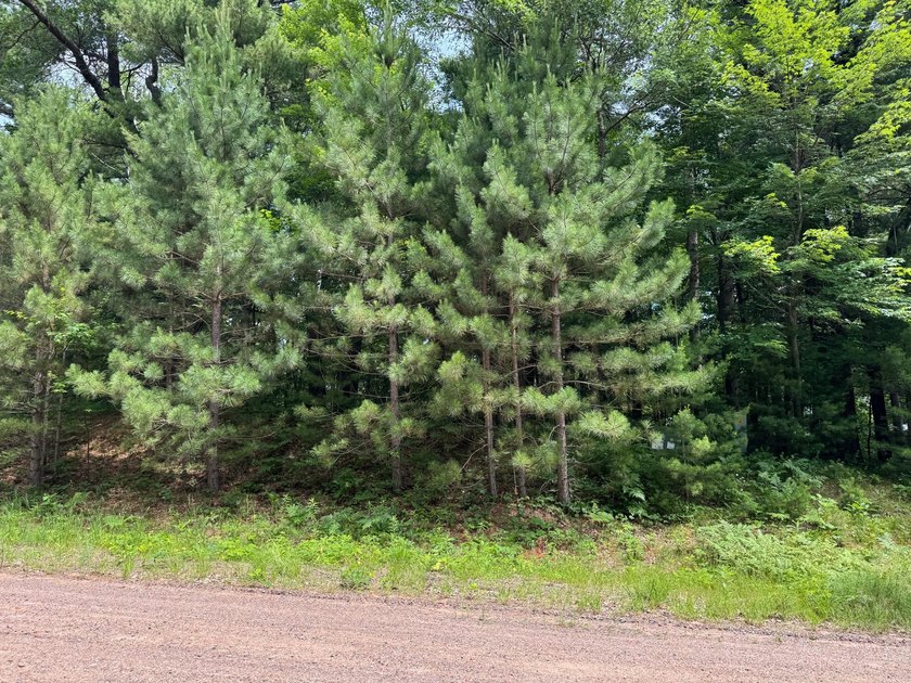 Build your dream lake home or Northwoods retreat on beautiful - photo 18