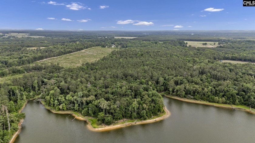 Wooded, undeveloped tract of land fronting Dominion fringe land - photo 12