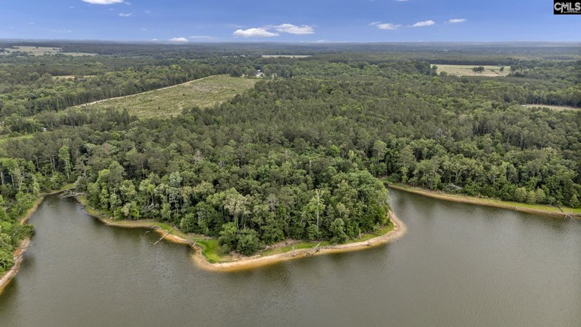 Wooded, undeveloped tract of land fronting Dominion fringe land - photo 13