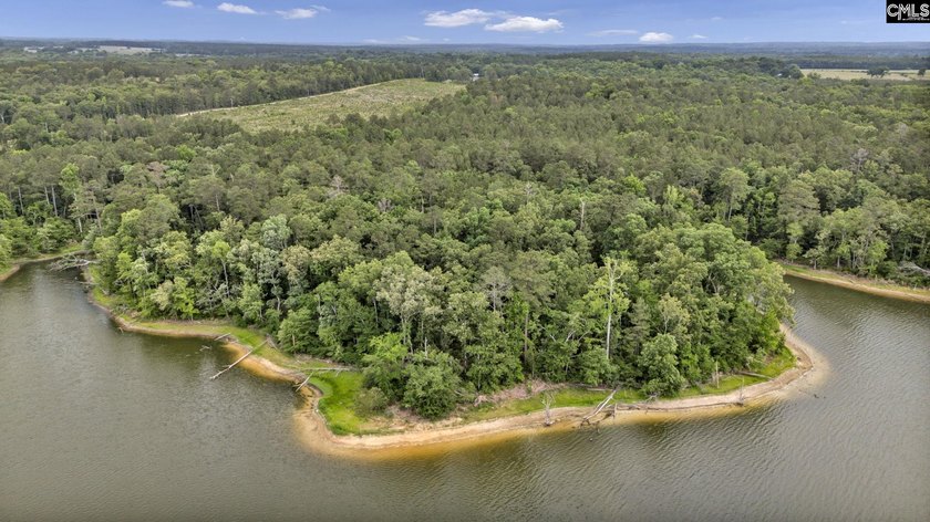 Wooded, undeveloped tract of land fronting Dominion fringe land - photo 14