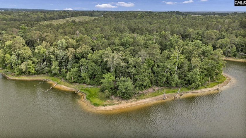 Wooded, undeveloped tract of land fronting Dominion fringe land - photo 15