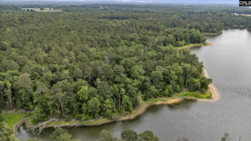 Wooded, undeveloped tract of land fronting Dominion fringe land - photo 17