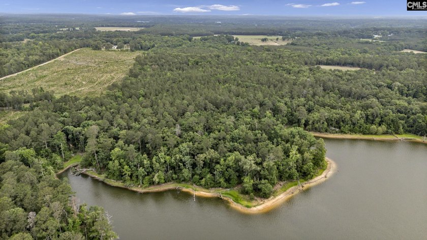 Wooded, undeveloped tract of land fronting Dominion fringe land - photo 22