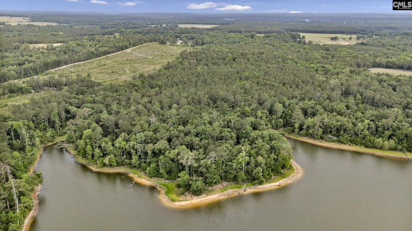 Wooded, undeveloped tract of land fronting Dominion fringe land - photo 23