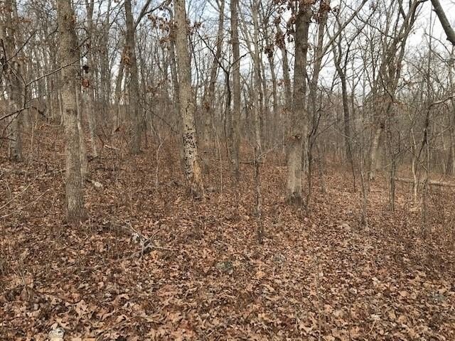 This listing includes 2 parcels: 17-8.0-33-000-000-024.000 3.5 - photo 24
