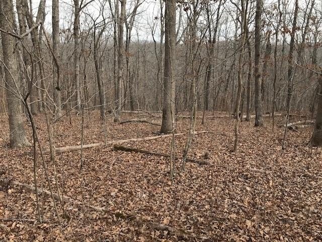 This listing includes 2 parcels: 17-8.0-33-000-000-024.000 3.5 - photo 25