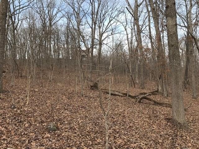 This listing includes 2 parcels: 17-8.0-33-000-000-024.000 3.5 - photo 27