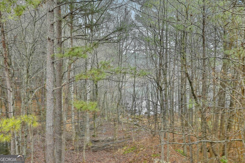 Welcome home to 120 Meadow View Glen, tucked away on a - photo 45