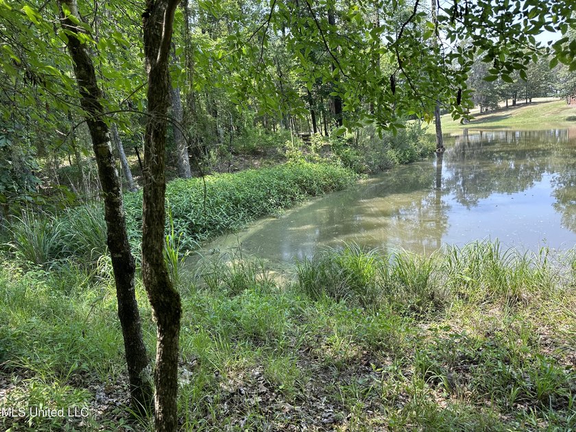One of the few remaining lots left in ViewPointe! Build your - photo 3