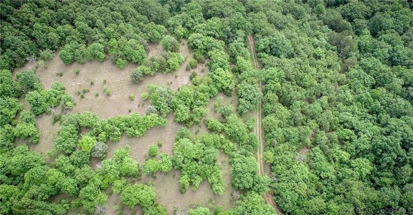 17 wooded acres with a clearing at the top of the property to - photo 11