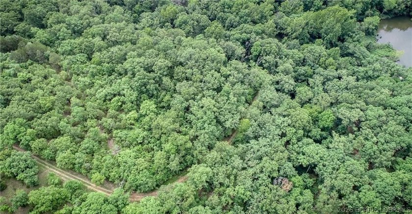 17 wooded acres with a clearing at the top of the property to - photo 12