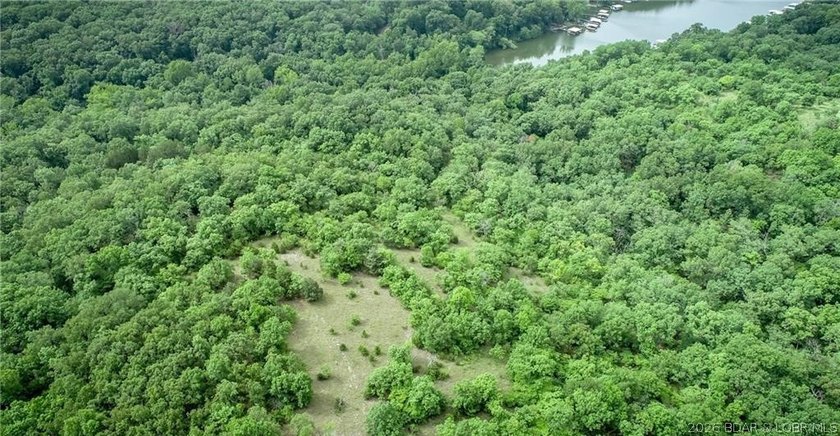 17 wooded acres with a clearing at the top of the property to - photo 13